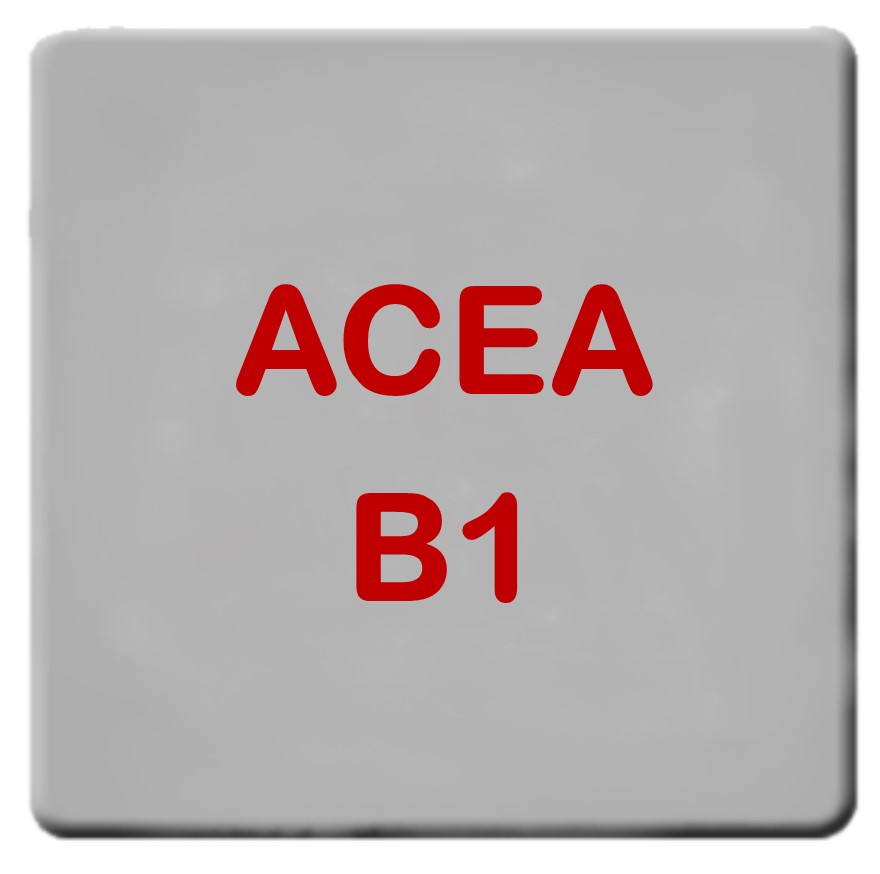 Especificação ACEA B1