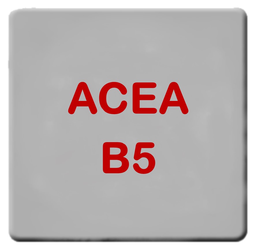 Especificação ACEA B5